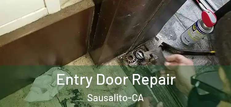 Entry Door Repair Sausalito-CA
